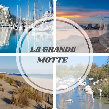 New Le Cocon-clim-parking-wifi- Terrasse Pros Conciergerie * Montpellier